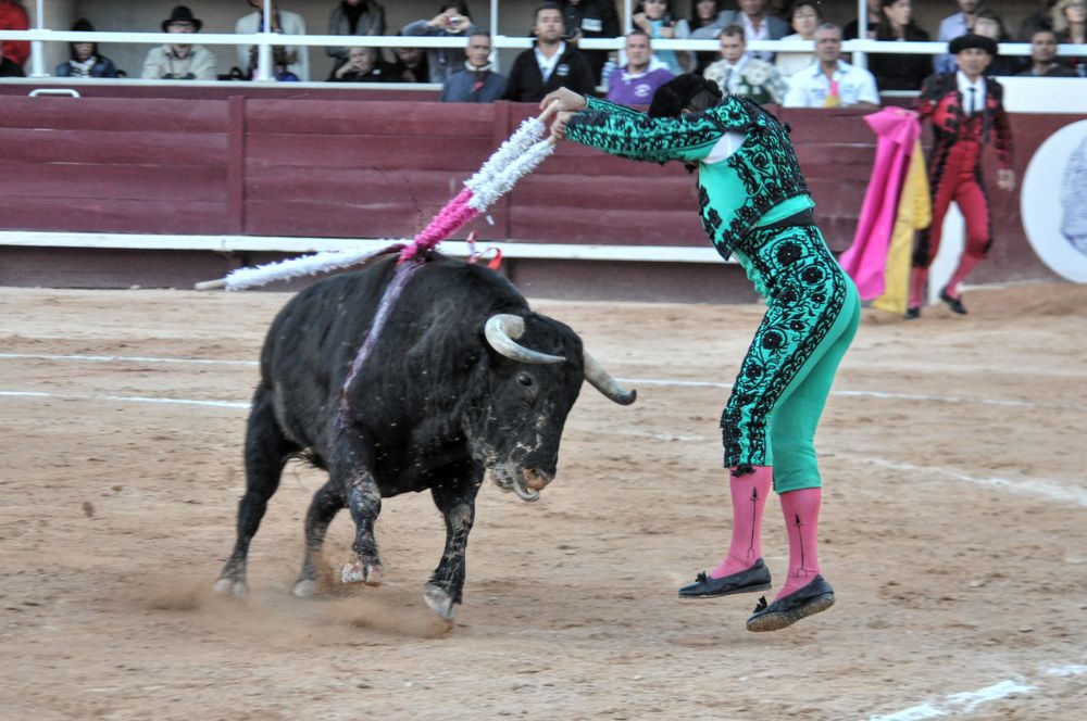 2016cordimamistres (610)