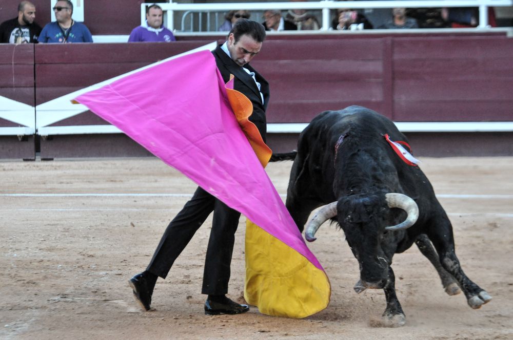 2016cordimamistres (612)