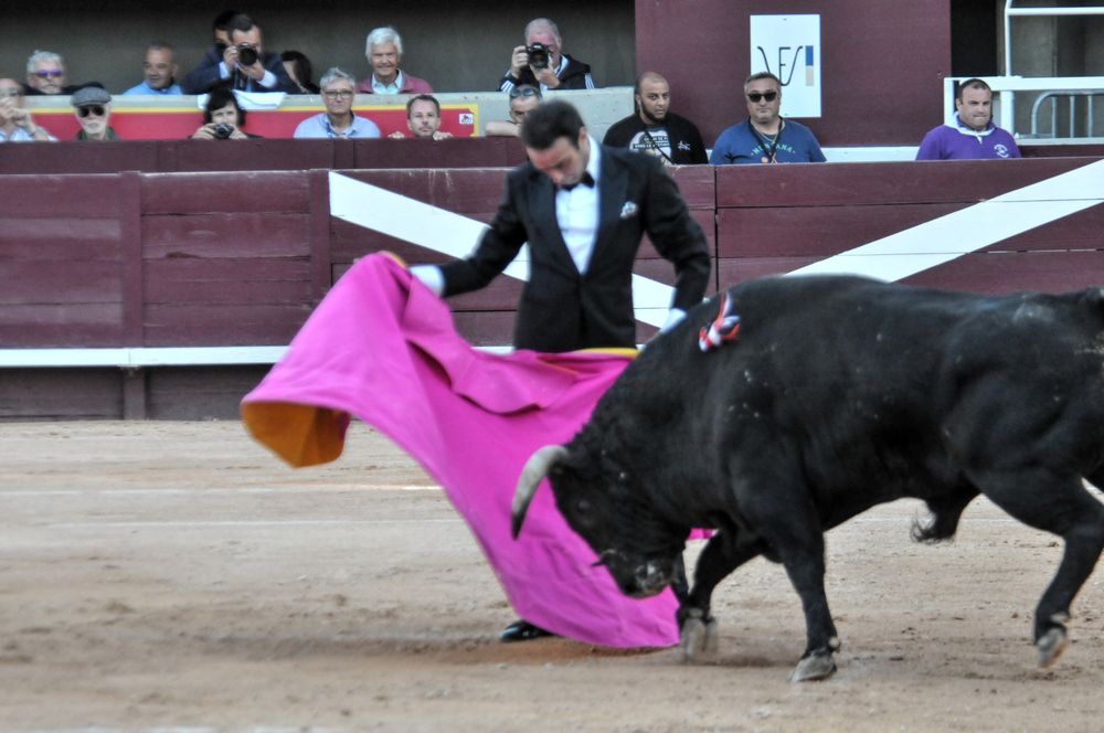 2016cordimamistres (613)