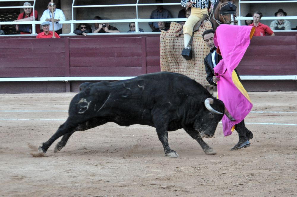 2016cordimamistres (616)