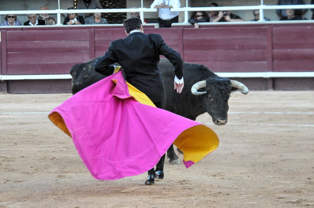 2016cordimamistres (617)