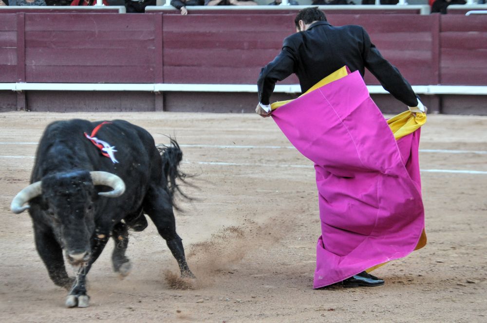 2016cordimamistres (620)