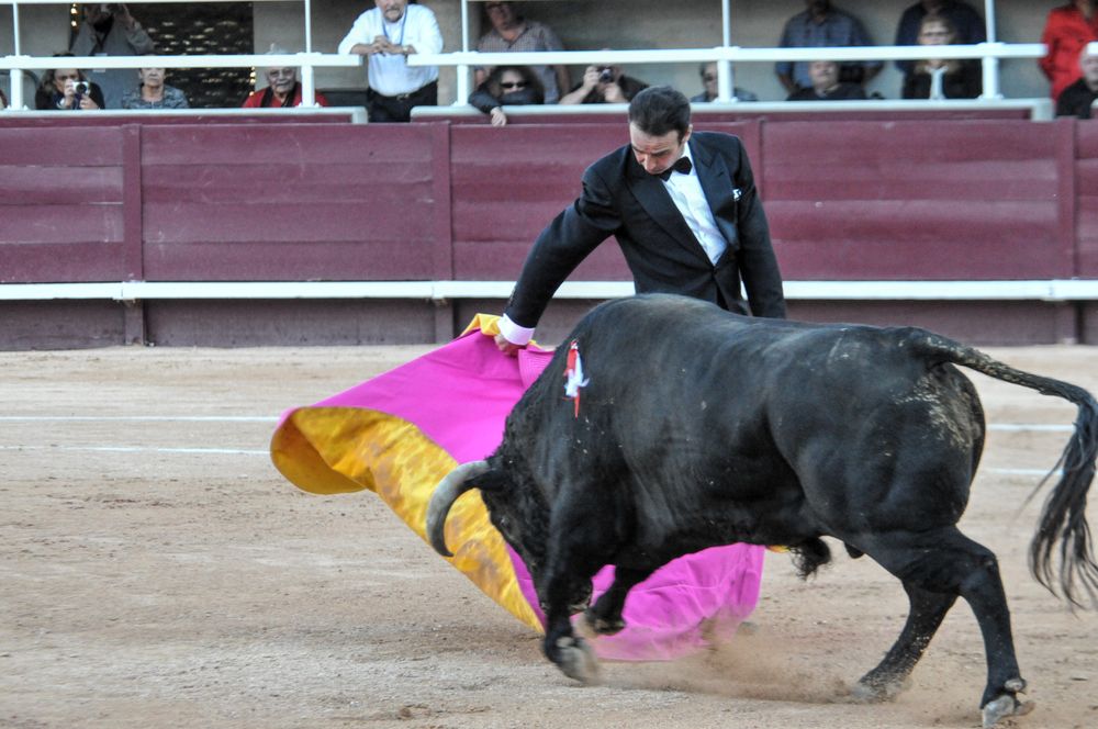 2016cordimamistres (622)