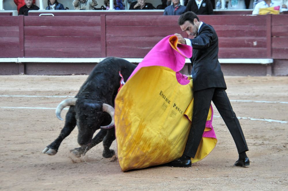 2016cordimamistres (624)