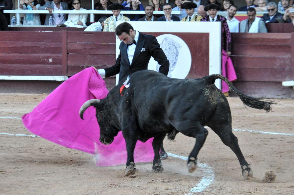 2016cordimamistres (625)
