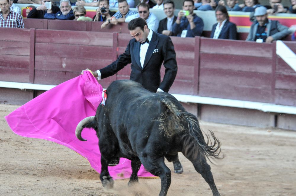 2016cordimamistres (626)