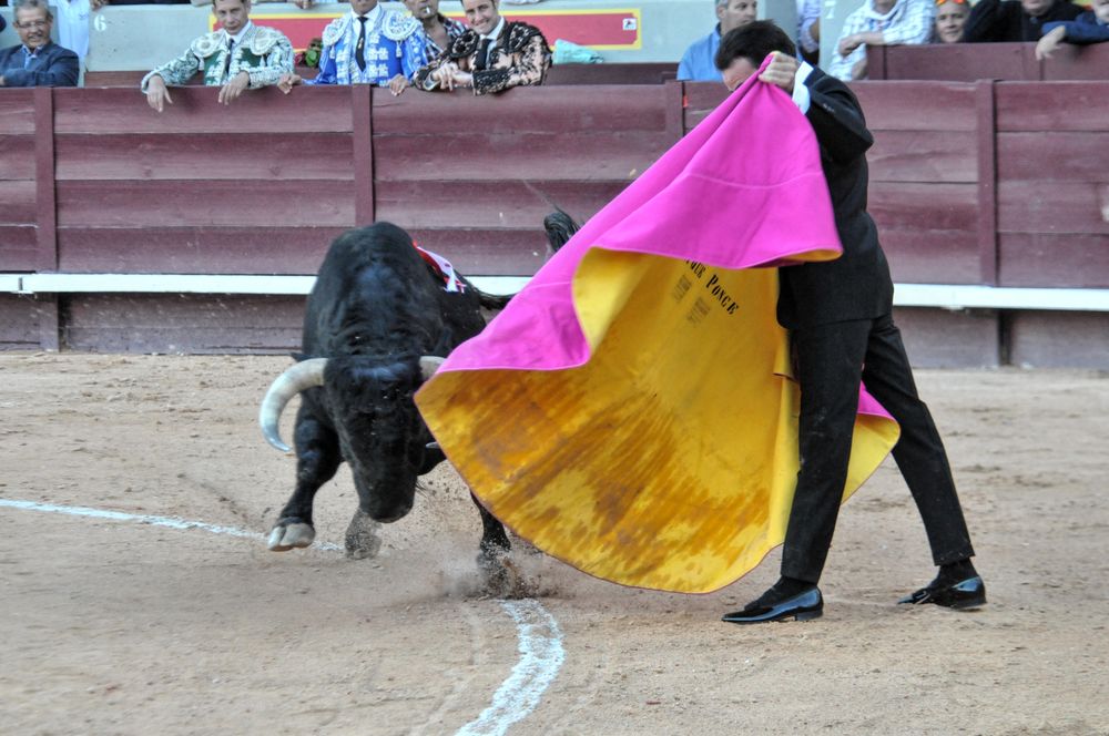 2016cordimamistres (627)
