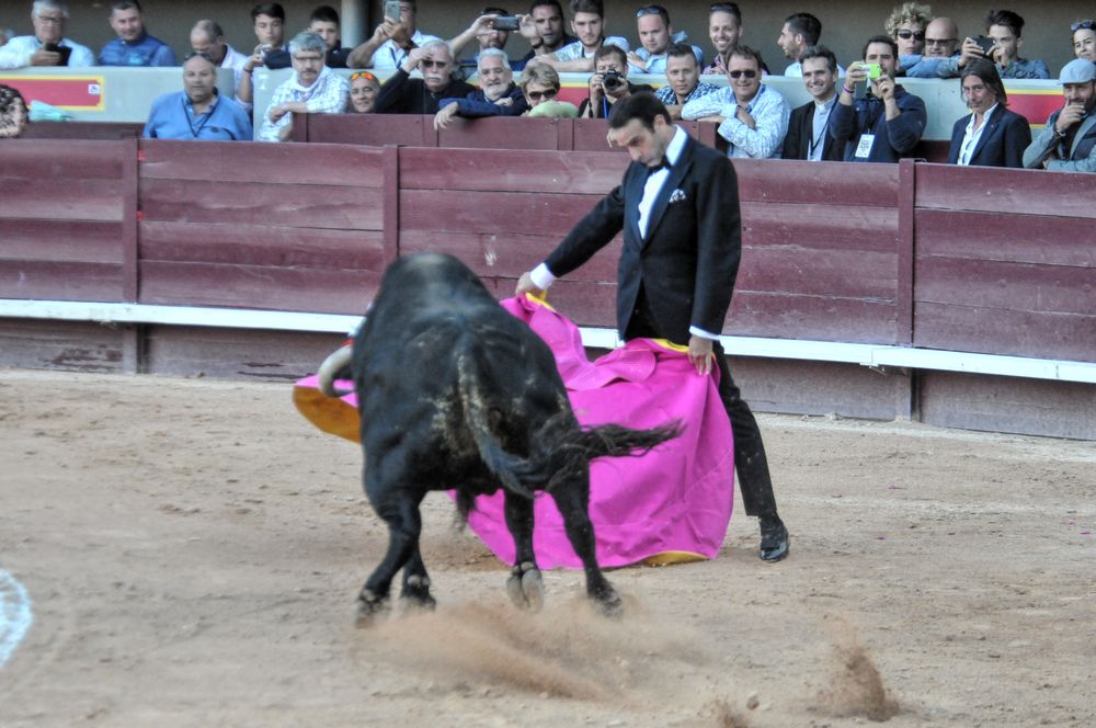 2016cordimamistres (628)