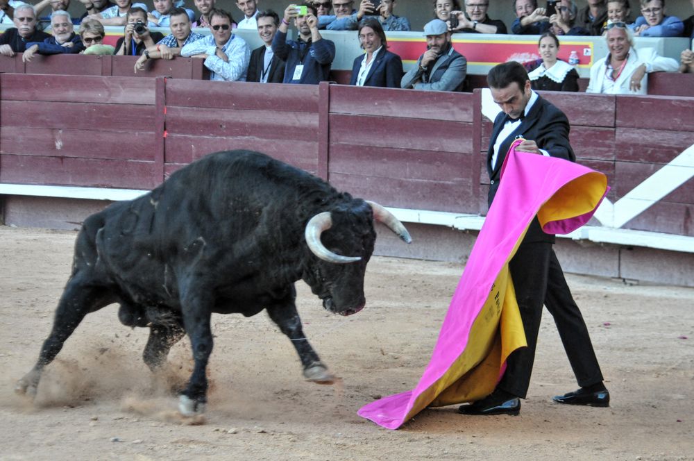2016cordimamistres (629)