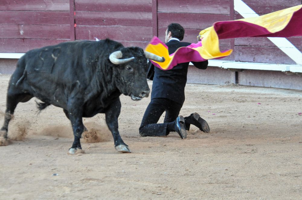 2016cordimamistres (632)