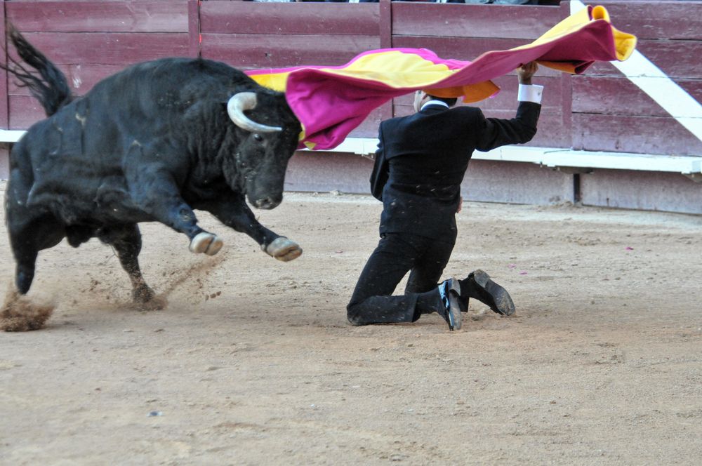 2016cordimamistres (633)