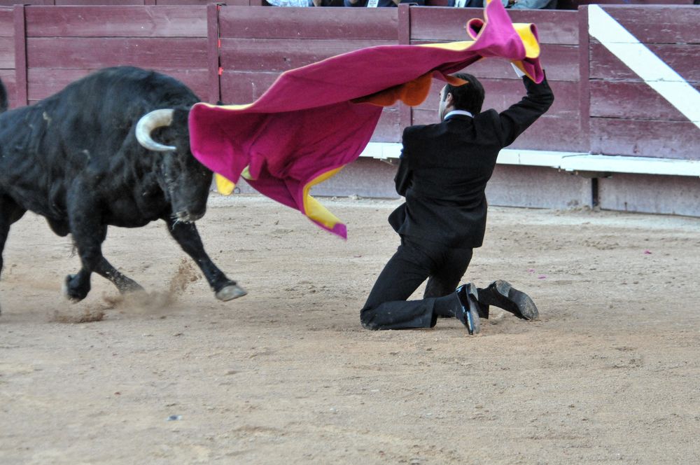 2016cordimamistres (634)