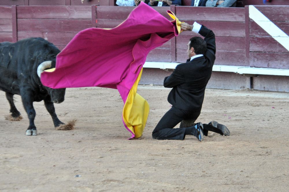 2016cordimamistres (635)
