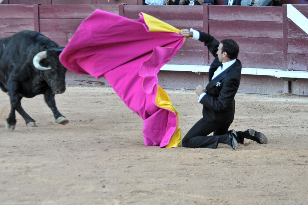 2016cordimamistres (636)