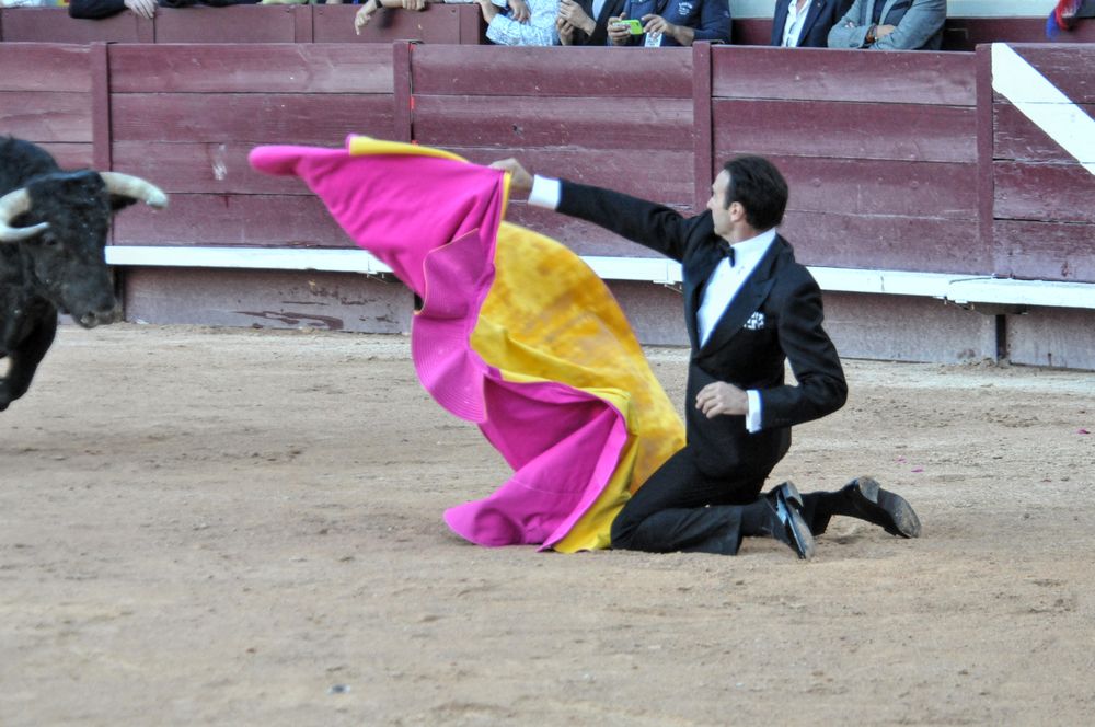 2016cordimamistres (637)
