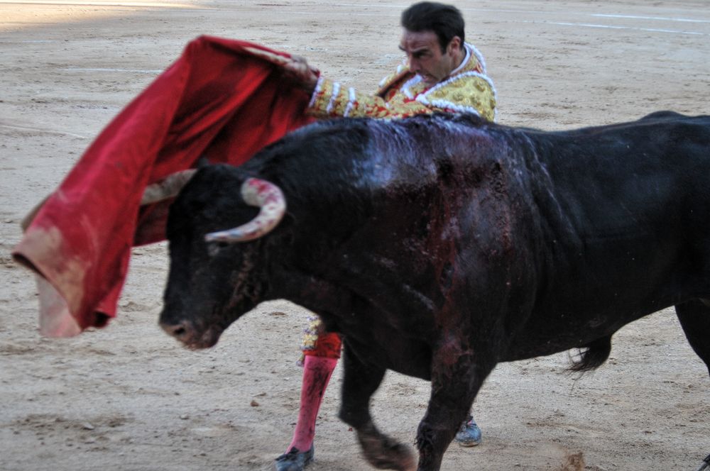 2016cordimamistres (65)
