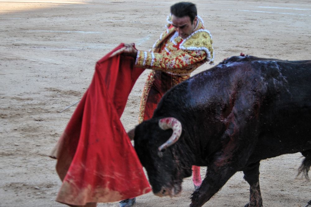 2016cordimamistres (66)