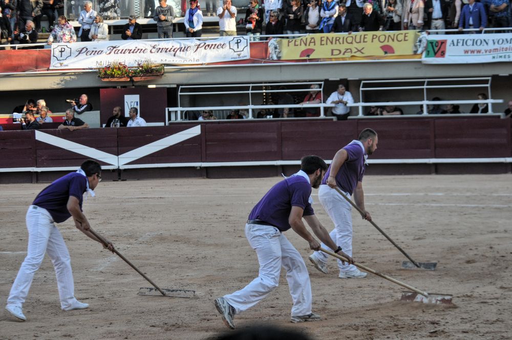 2016cordimamistres (660)