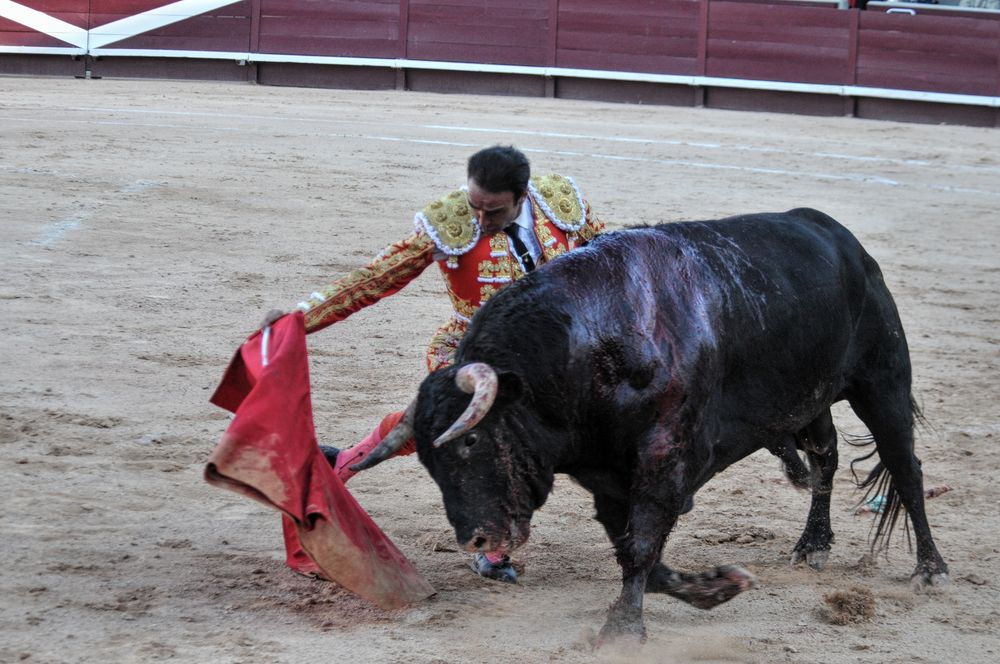 2016cordimamistres (68)