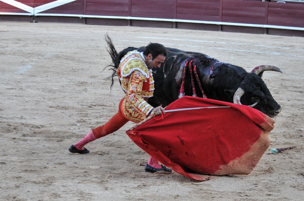 2016cordimamistres (69)