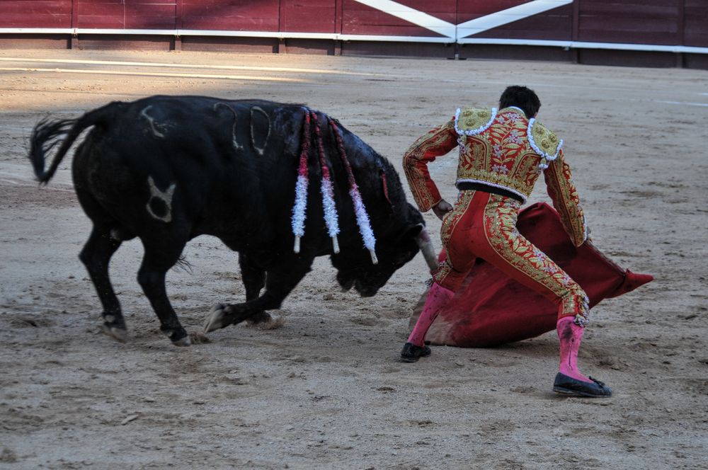 2016cordimamistres (71)