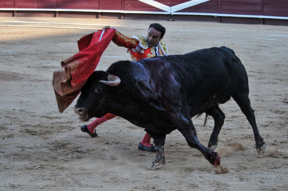 2016cordimamistres (72)