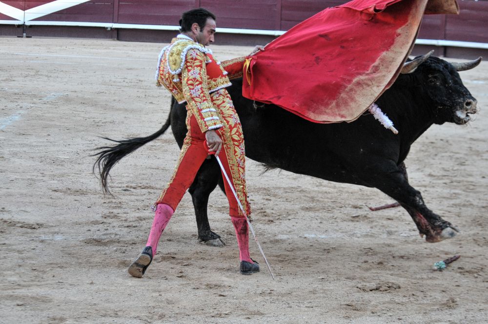 2016cordimamistres (75)