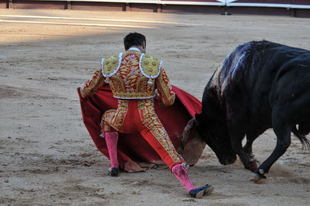 2016cordimamistres (76)