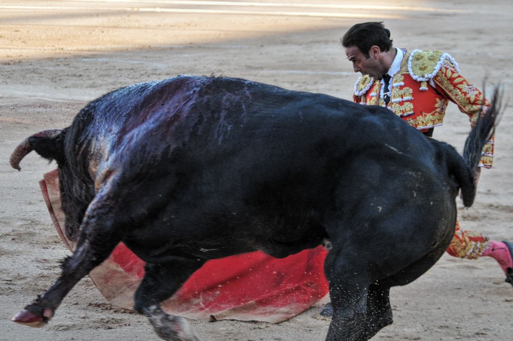 2016cordimamistres (77)