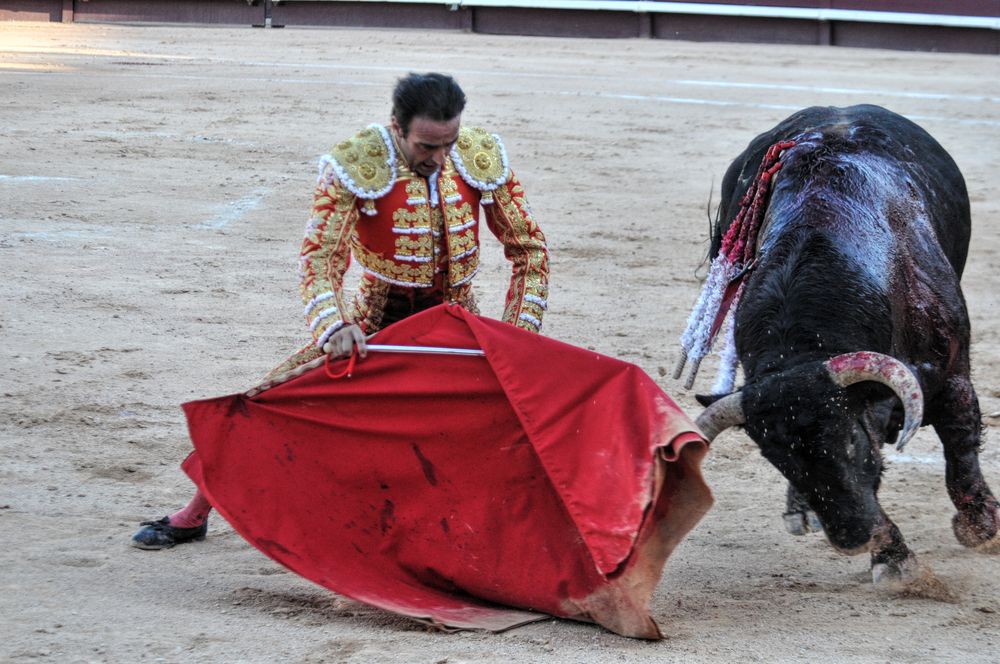 2016cordimamistres (79)