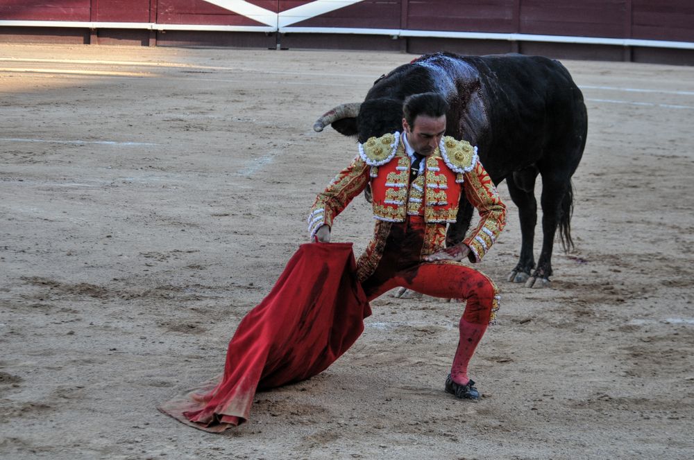 2016cordimamistres (81)