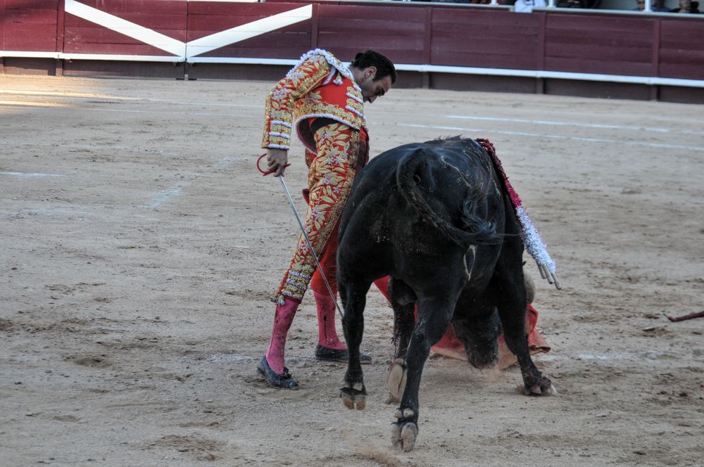 2016cordimamistres (83)