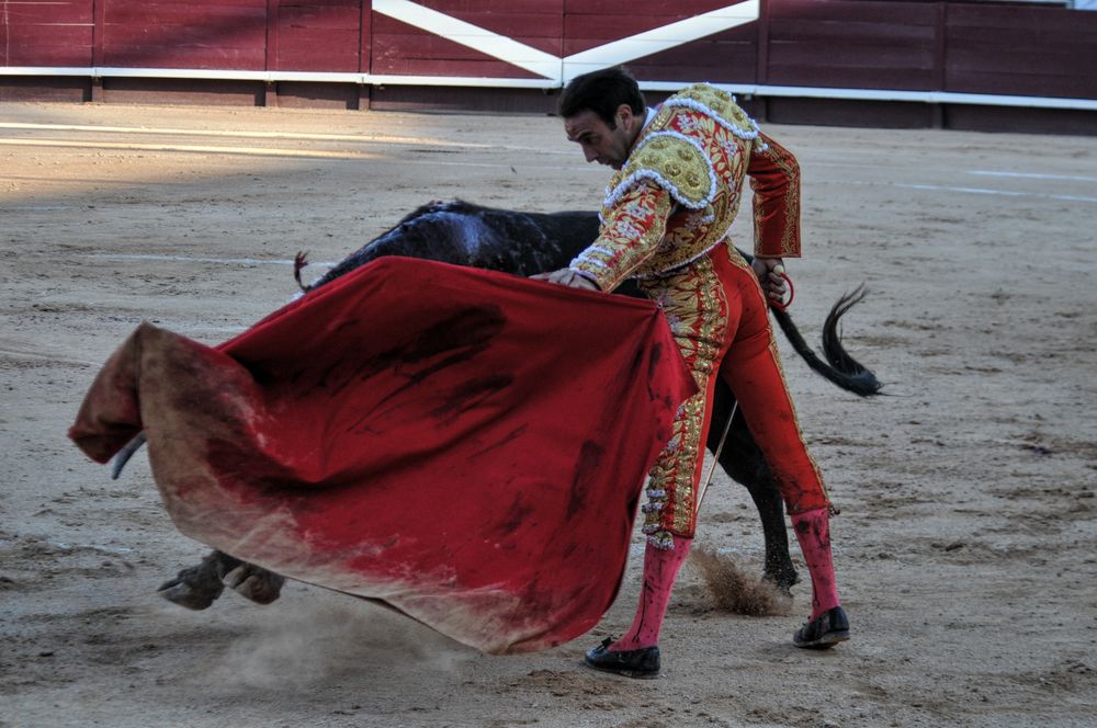 2016cordimamistres (84)