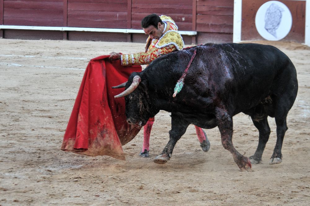 2016cordimamistres (85)