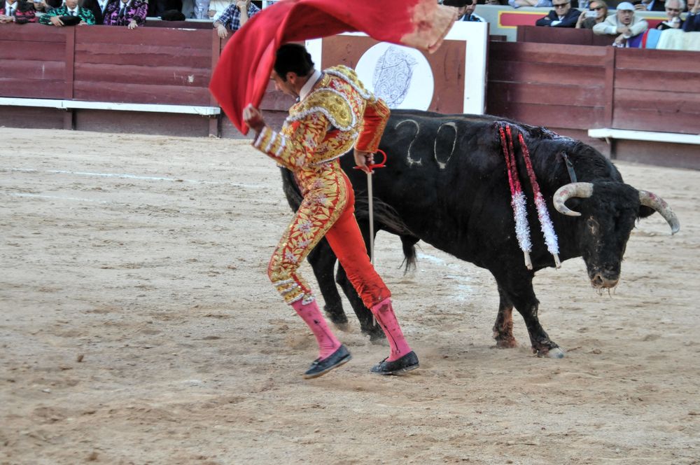 2016cordimamistres (86)