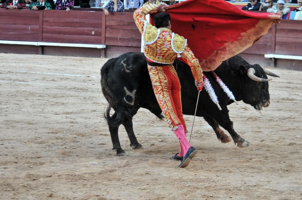 2016cordimamistres (87)