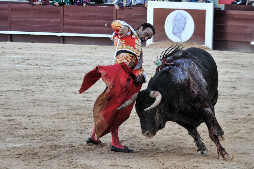 2016cordimamistres (88)