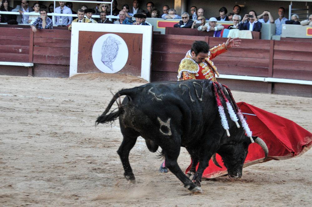2016cordimamistres (89)