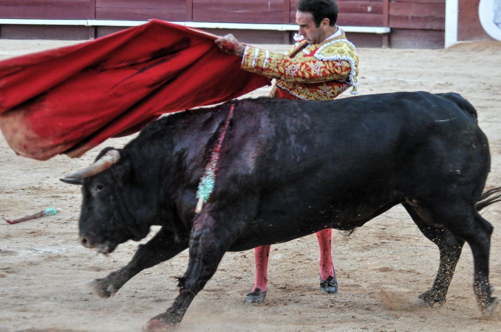 2016cordimamistres (90)