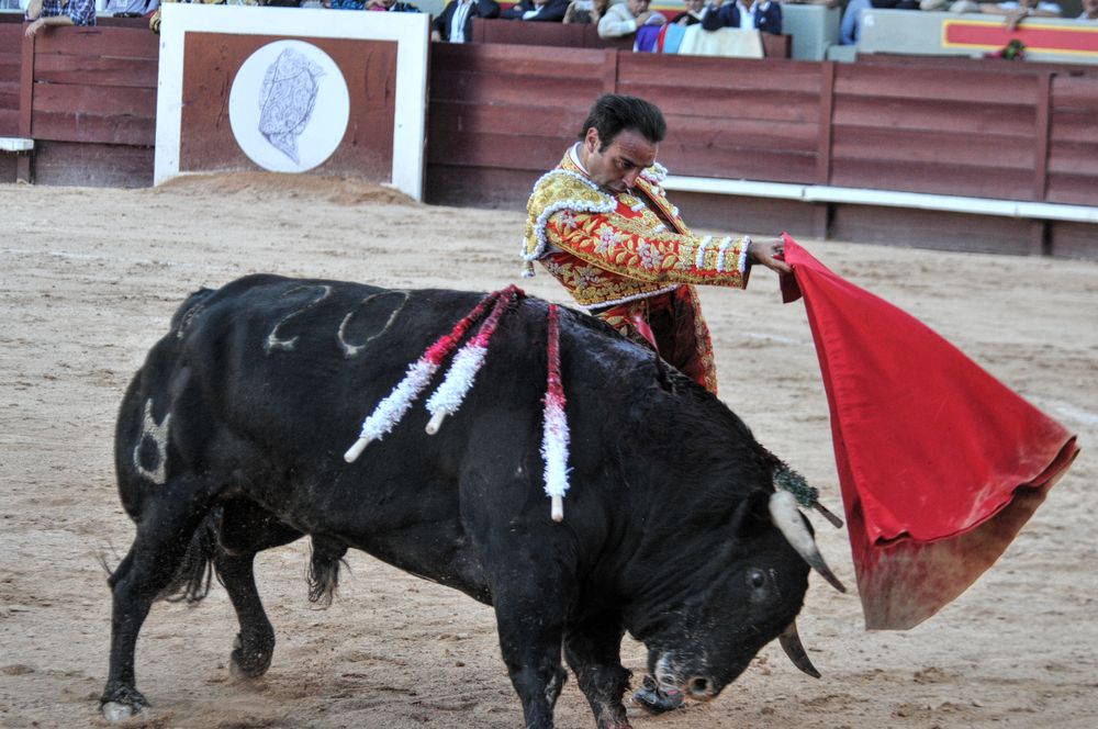 2016cordimamistres (92)