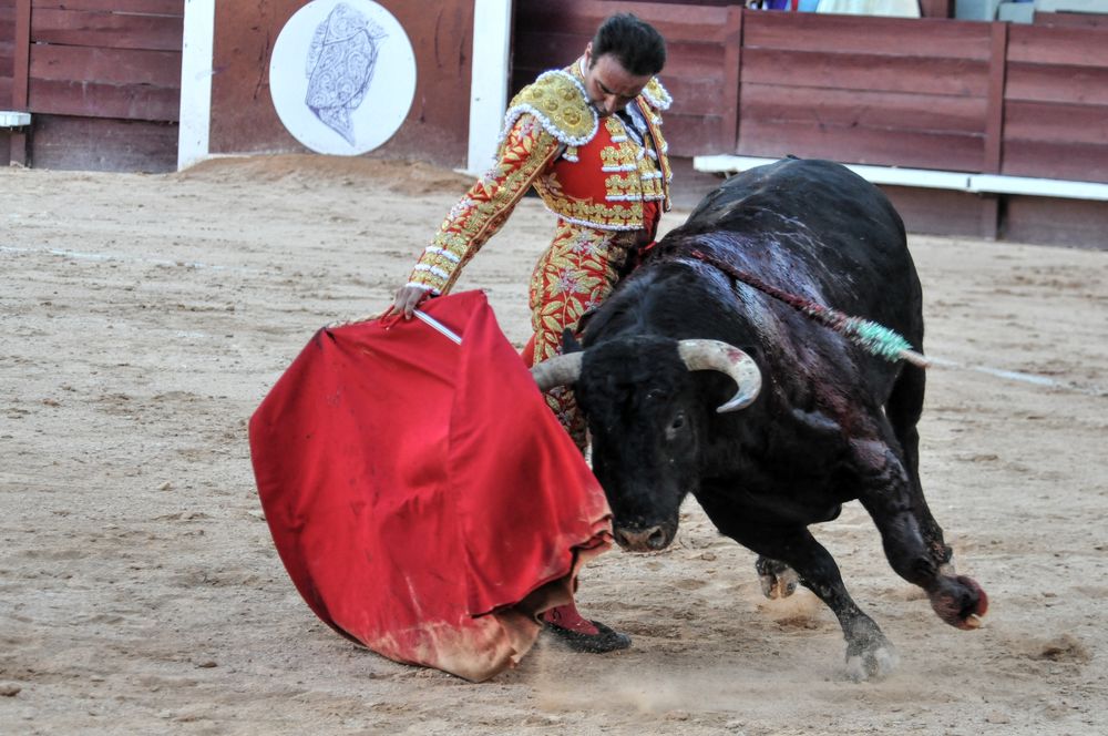 2016cordimamistres (93)