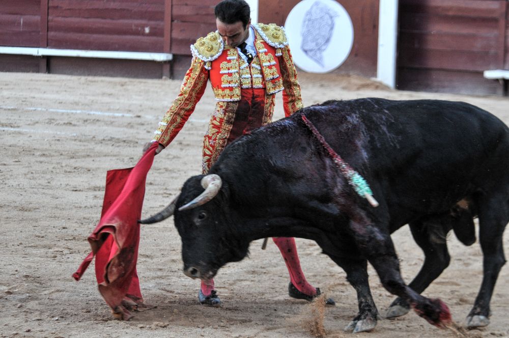 2016cordimamistres (94)