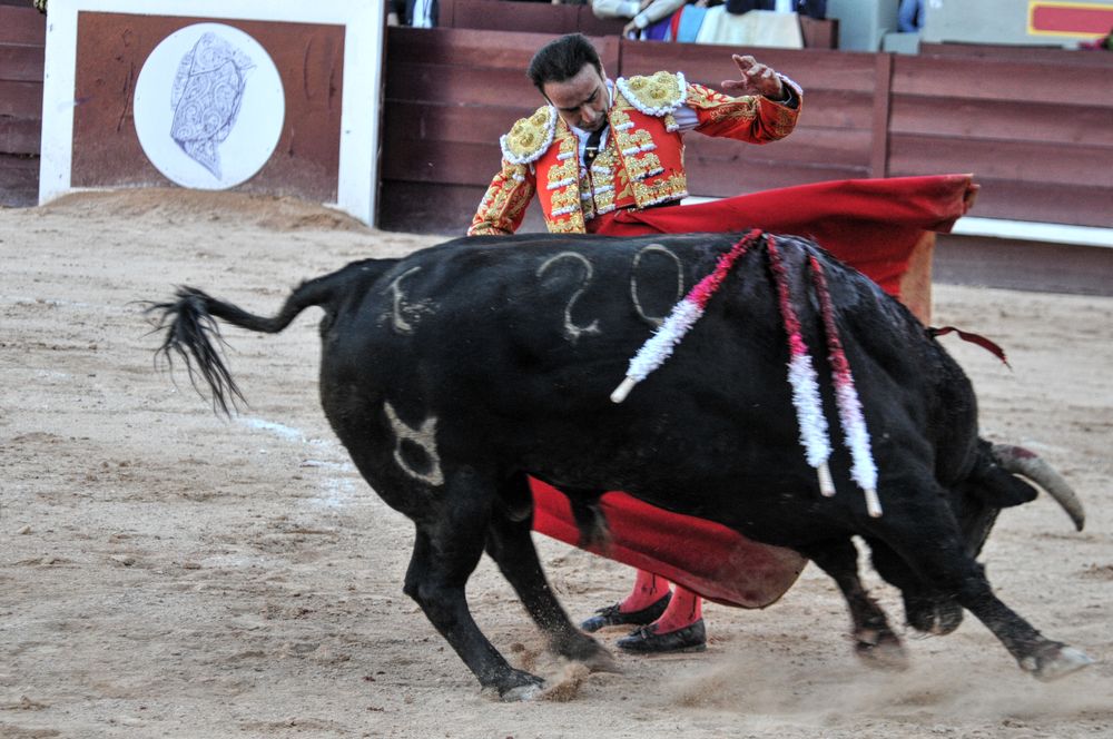 2016cordimamistres (95)