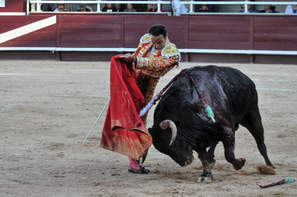 2016cordimamistres (97)