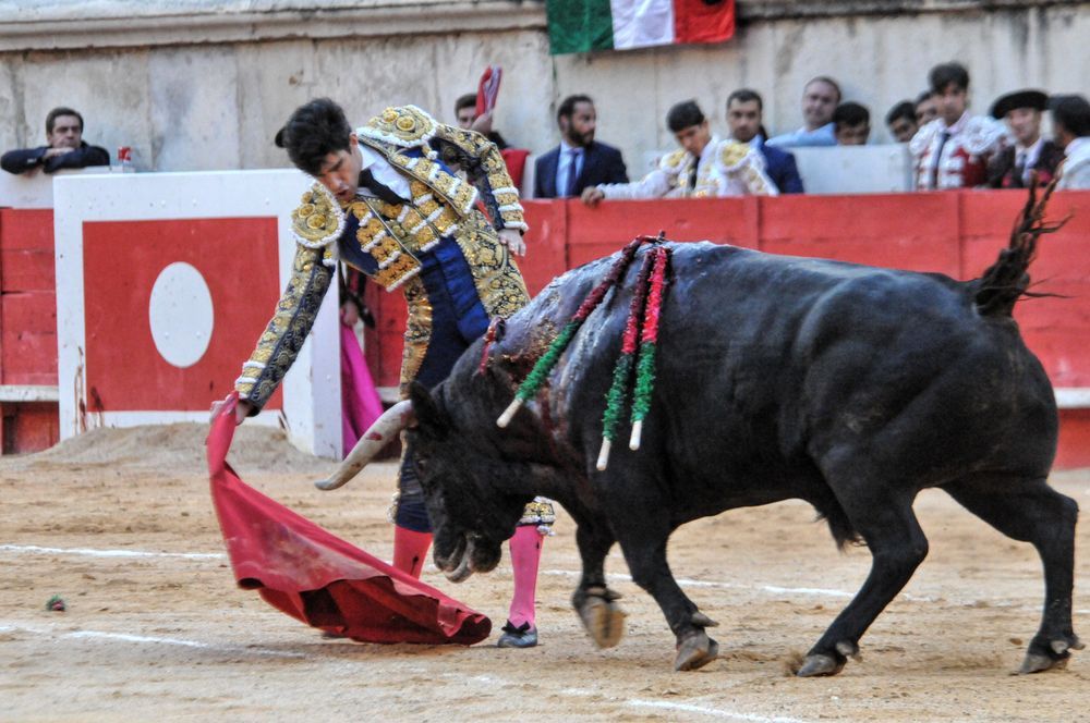 2016cordimamvendnimes (107)