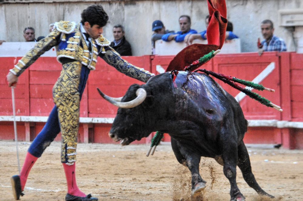 2016cordimamvendnimes (109)