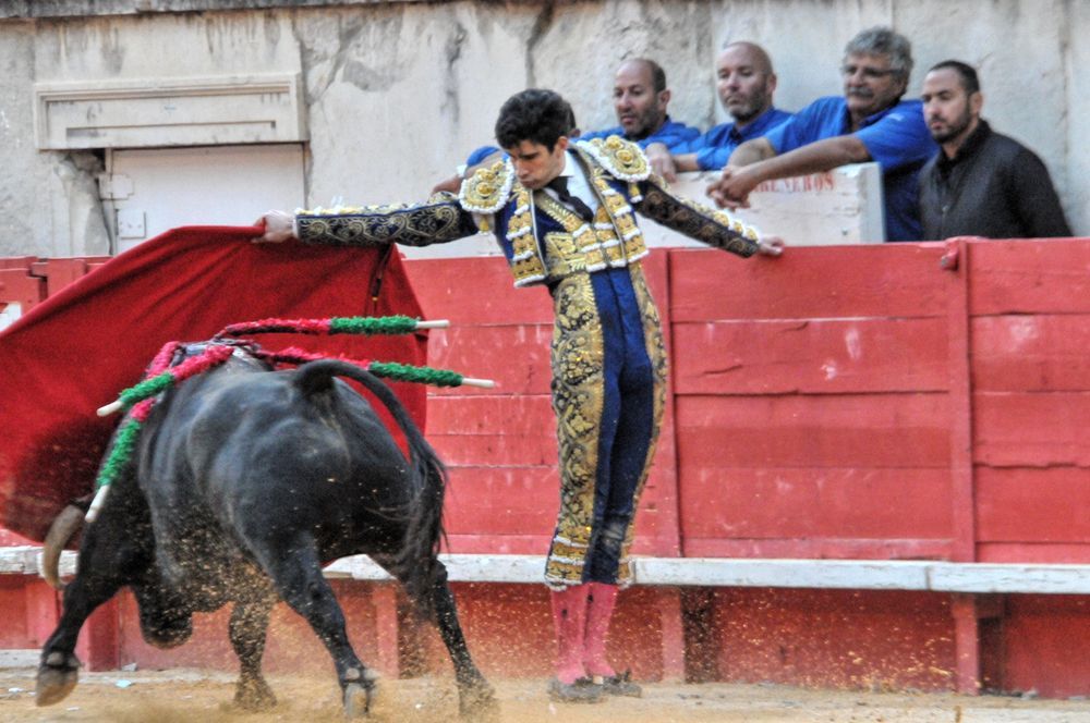 2016cordimamvendnimes (117)