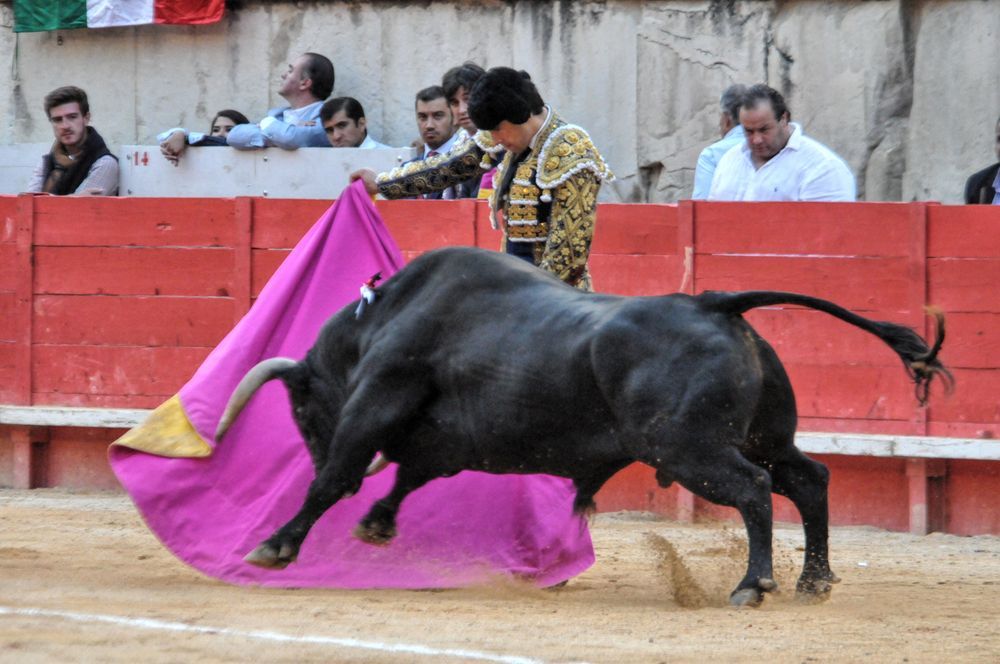 2016cordimamvendnimes (127)