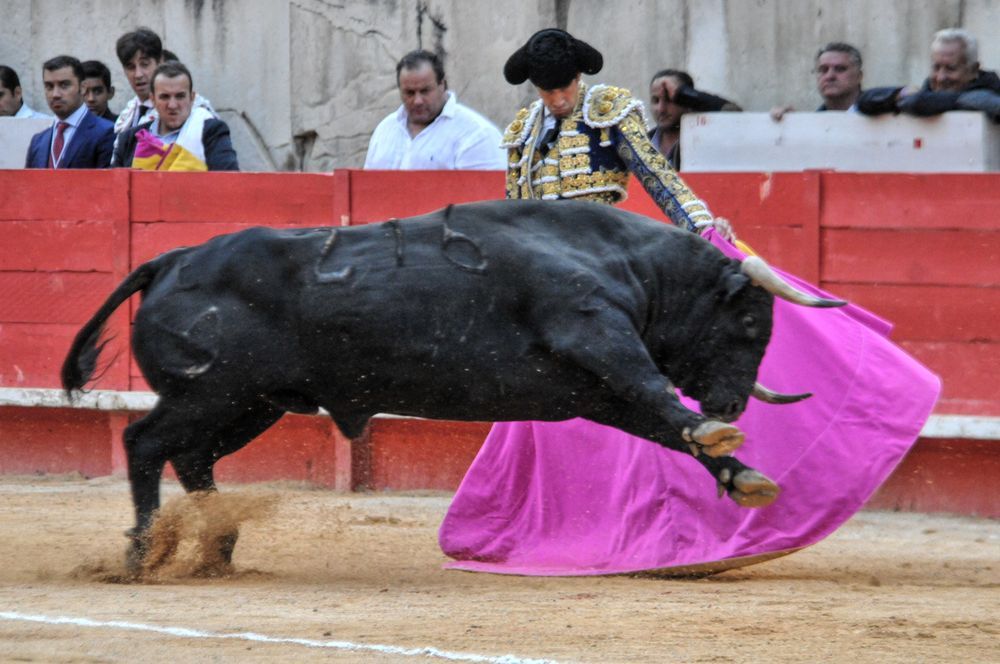 2016cordimamvendnimes (128)
