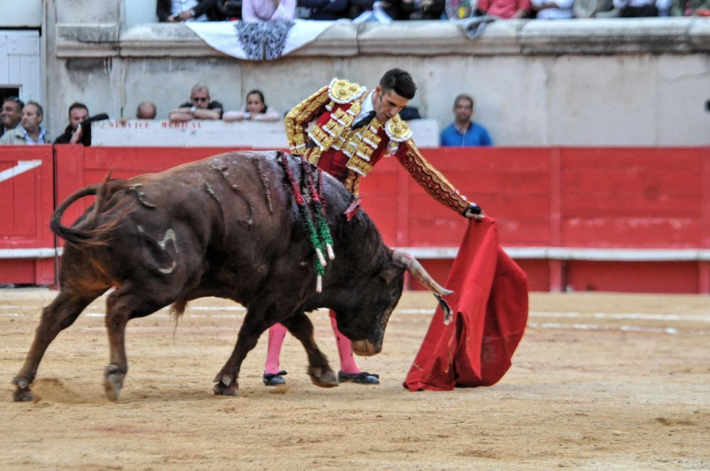 2016cordimamvendnimes (132)